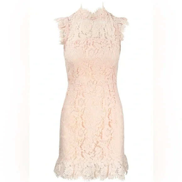 Revolve Aijek eyelash pink lace mini dress keyhole back - Picture 9 of 16